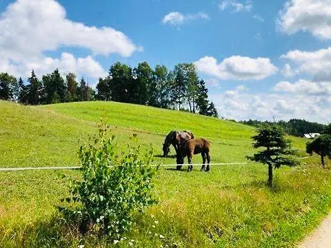 度假居 Eden 7 Kaszuby Balia Sauna Alpaki